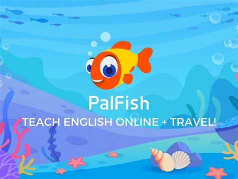 How to Apply to PalFish + Pass The PalFish Teacher Application.